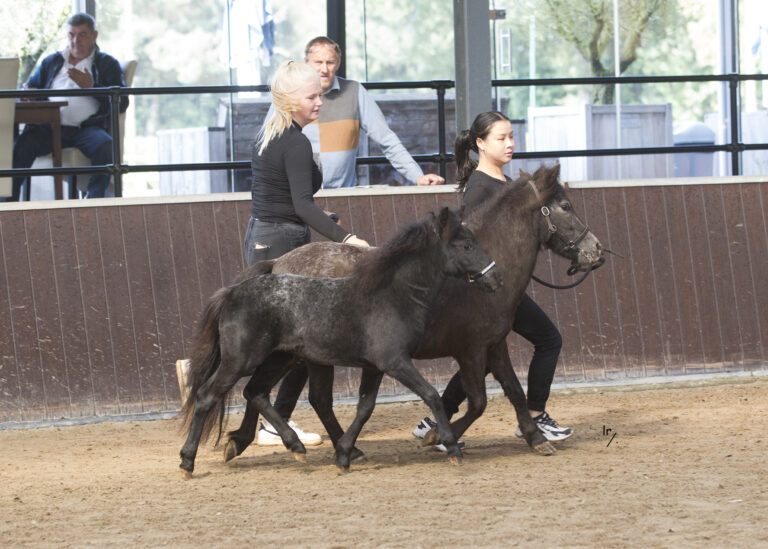 Falabella Chanel Resto Cazador