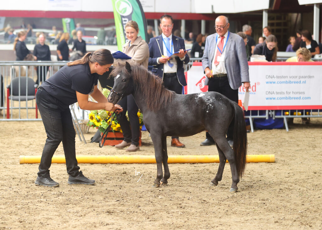 Falabella Goya Resto Cazador